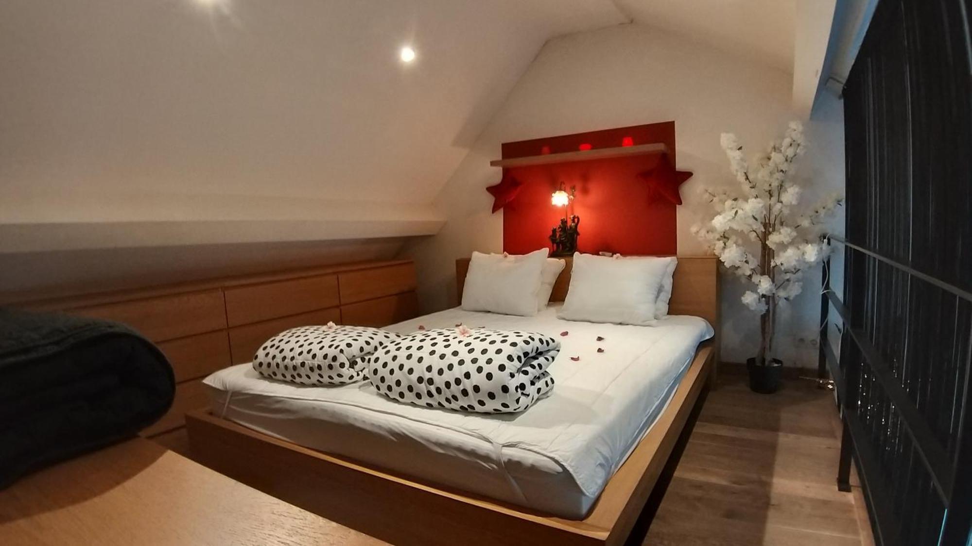Wellness Loft With Sauna, Jacuzzi, Roof Terrace & Amazing View Διαμέρισμα Αμβέρσα Εξωτερικό φωτογραφία
