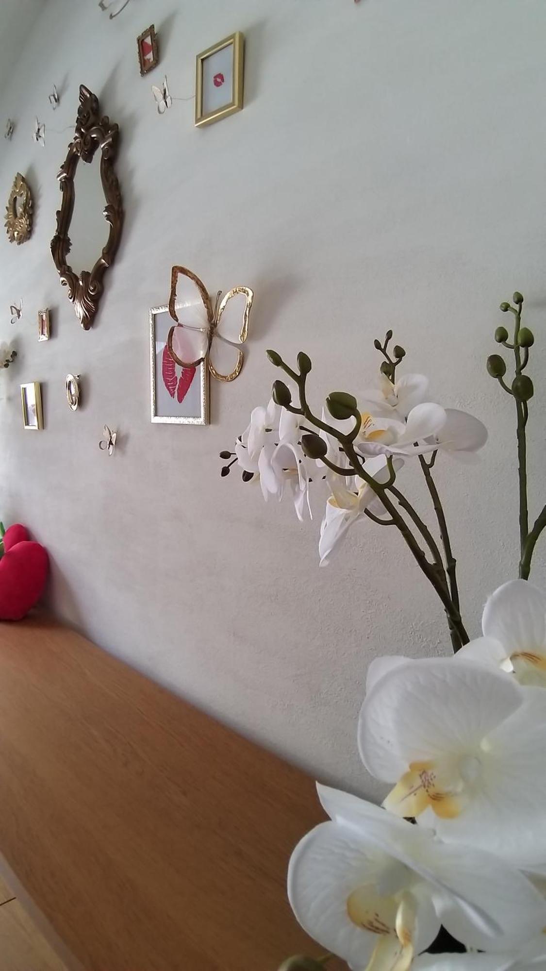 Wellness Loft With Sauna, Jacuzzi, Roof Terrace & Amazing View Διαμέρισμα Αμβέρσα Εξωτερικό φωτογραφία